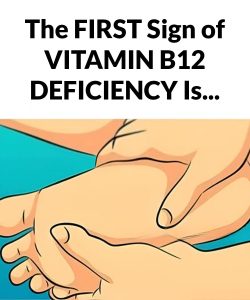 488226709_1220517132800317_4387759056053990079_n