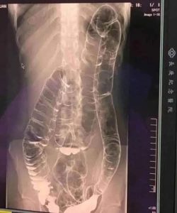 495179952_1248363376682359_9094572900910632144_n