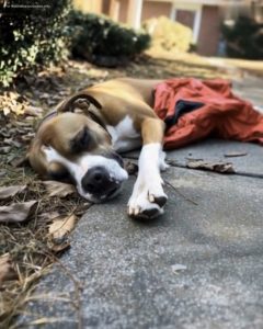 497853683_1201374015100906_5544767278642547592_n