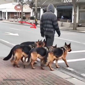 499633761_557615724062431_9014854450086021124_n (1)