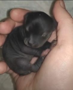 499685352_2053410128488232_7913670274658720449_n