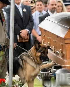 499761011_674783985399140_3108720030585905086_n (1)