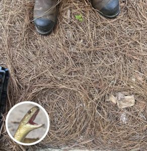 501089434_706600132348273_8093036224769532122_n