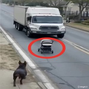 504133332_600349316425410_5831032719975522989_n