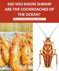 504897076_1269140117938018_9152986020286354893_n