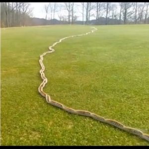 505219664_2051876255336486_2479932436928377306_n