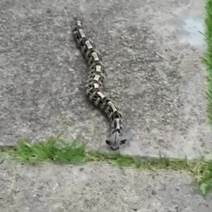 505384949_703284769078227_4905597878627003965_n