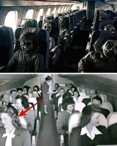 505388824_1119157606713965_7061287386465749921_n