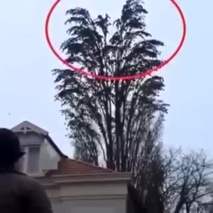 505731944_2092497031258434_5269076590663013118_n