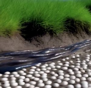 505790145_1448706196318371_6067005580378181168_n