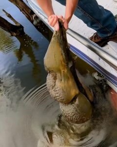 506257231_2210546429382174_7822866511393563550_n