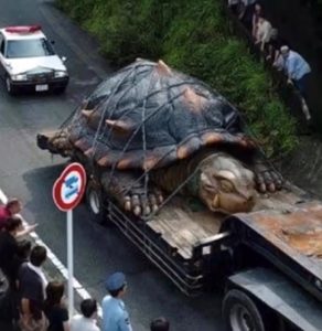 506375632_1465333451293393_8427873841513242598_n