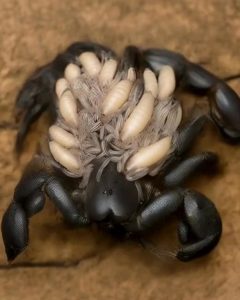 506738986_1562028874754638_2128167381985291228_n