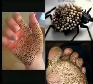 507051638_23947253394887435_6117350191362210705_n