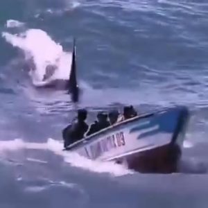 507756450_1055509793210298_653745642601072295_n (1)