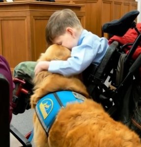 508377668_1458674995582908_4032417506776078843_n