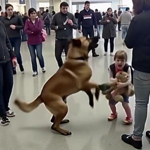 509385934_3350658538409012_5117364459526191007_n