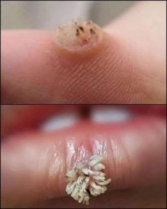 512680909_705852459089707_193308551387831705_n