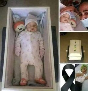 513233817_706528392355447_411097795566675751_n