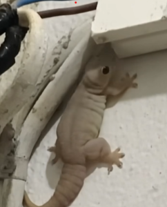 Screenshot 2025-06-23 191220