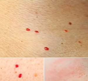 Screenshot 2025-06-24 211639