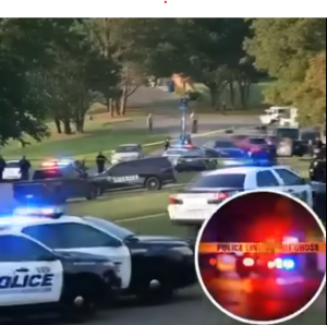 Screenshot 2025-06-29 200015