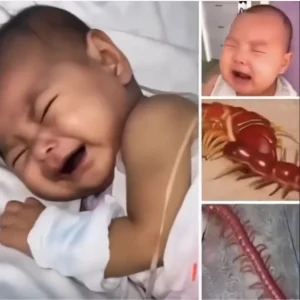 image-92-1019x1024-1