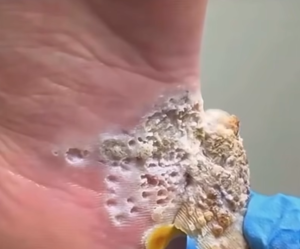 Screenshot 2025-07-02 084923