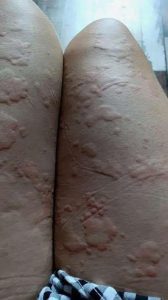 596064438_1283150360501375_3221561343959633523_n