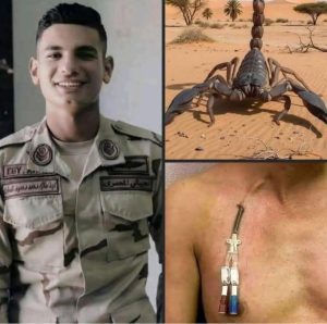 602339030_122191406750530323_2081278514242083108_n