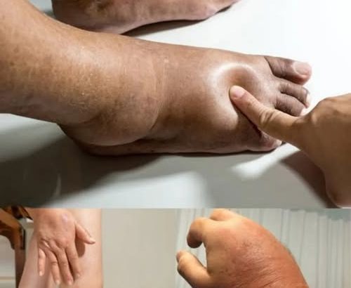 602895847_1293147612834983_4157096027239368135_n