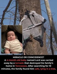 603826276_122252059646083645_9024373120001023984_n