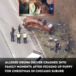 603927666_1294413199375091_7932236250250279525_n