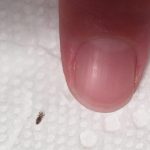 605464374_122201413670332099_7229291679120265975_n