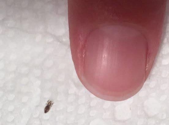 605464374_122201413670332099_7229291679120265975_n