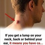 605597816_122201262710332099_8661650160104407891_n