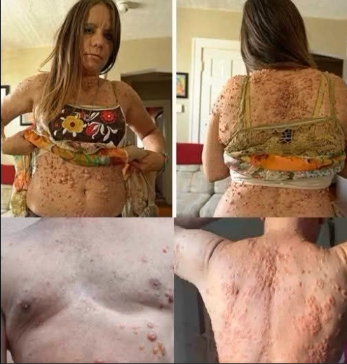 Screenshot 2025-12-25 132241