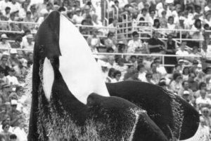 u6tFNTgHHjePz9zasbqK3GQZkBQDJEFIsjSyiYRJ