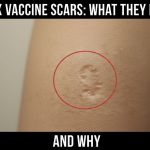 606329871_1206618491436740_7629504520299853585_n