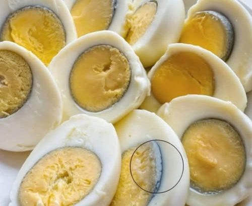 607187394_122305200704011573_6357122161118489952_n