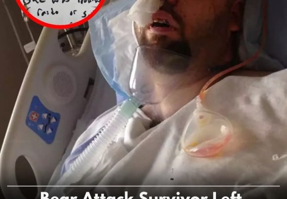 608901310_1281620940661063_1548397845849560868_n