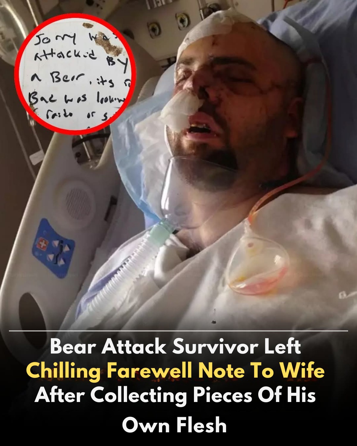 Bear Attack Survivor’s Haunting Farewell Note to Wife After Gathering Pieces of His Own Flesh