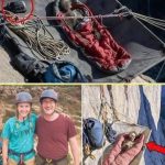 611290992_914986514524023_5387800531293099245_n