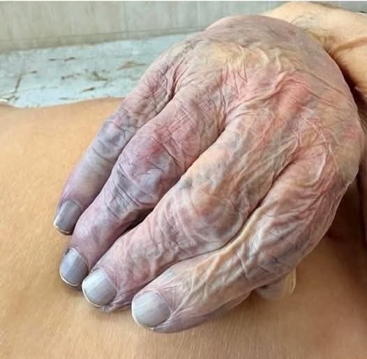 612220596_1301843605298717_6893617859816757046_n