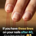 612640626_122299799954030146_7303764015566505570_n