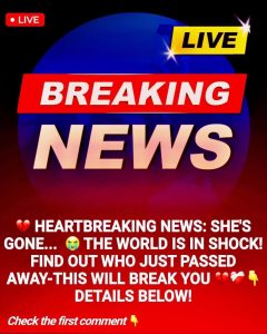 614393749_122219172260101299_9166687679267933066_n