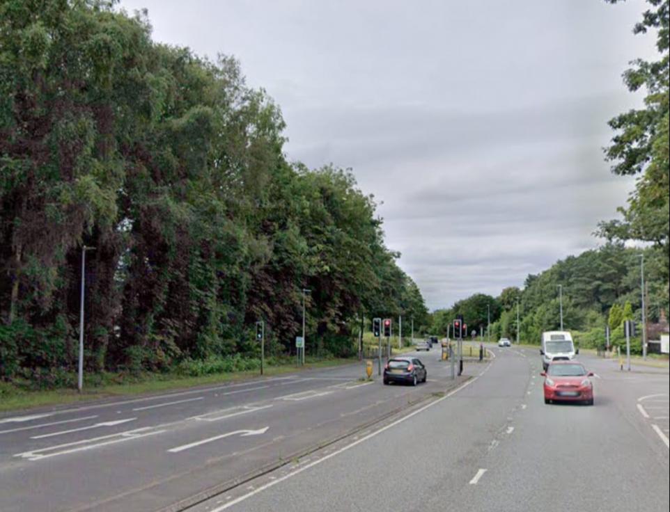 Police called to dead deer on the road near Knowsley Safari Park