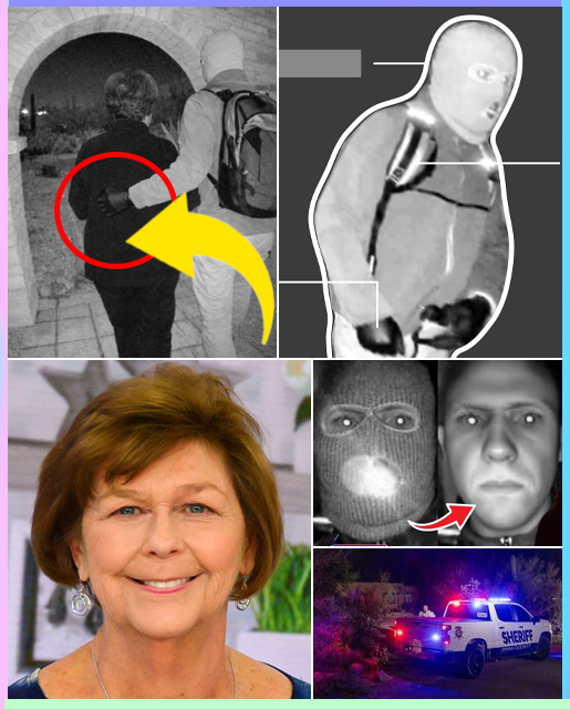 Police have recovered two deleted security cameras from the yard of Savannah Guthrie’s mother’s home; the suspect did not escort Nancy Guthrie out through the front gate