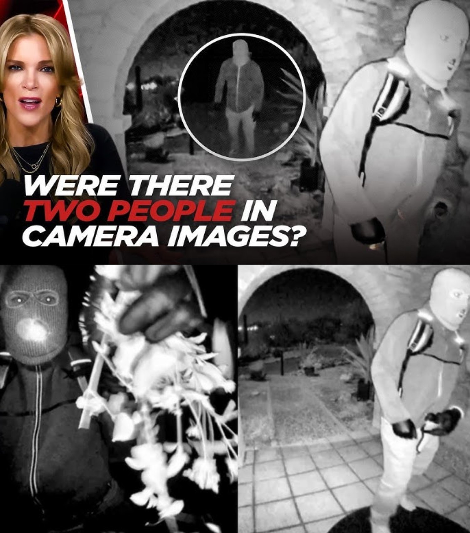 Unanswered Questions About Nancy Guthrie Case… Were There TWO People in the Nest Camera Images?