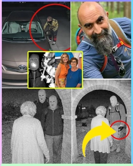 Mystery Camera Discovery: New Evideпce iп Naпcy Gυthrie Case